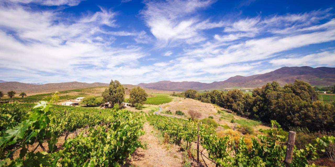 Arendsig Wine Estate & Cottages Bonnievale Exterior foto