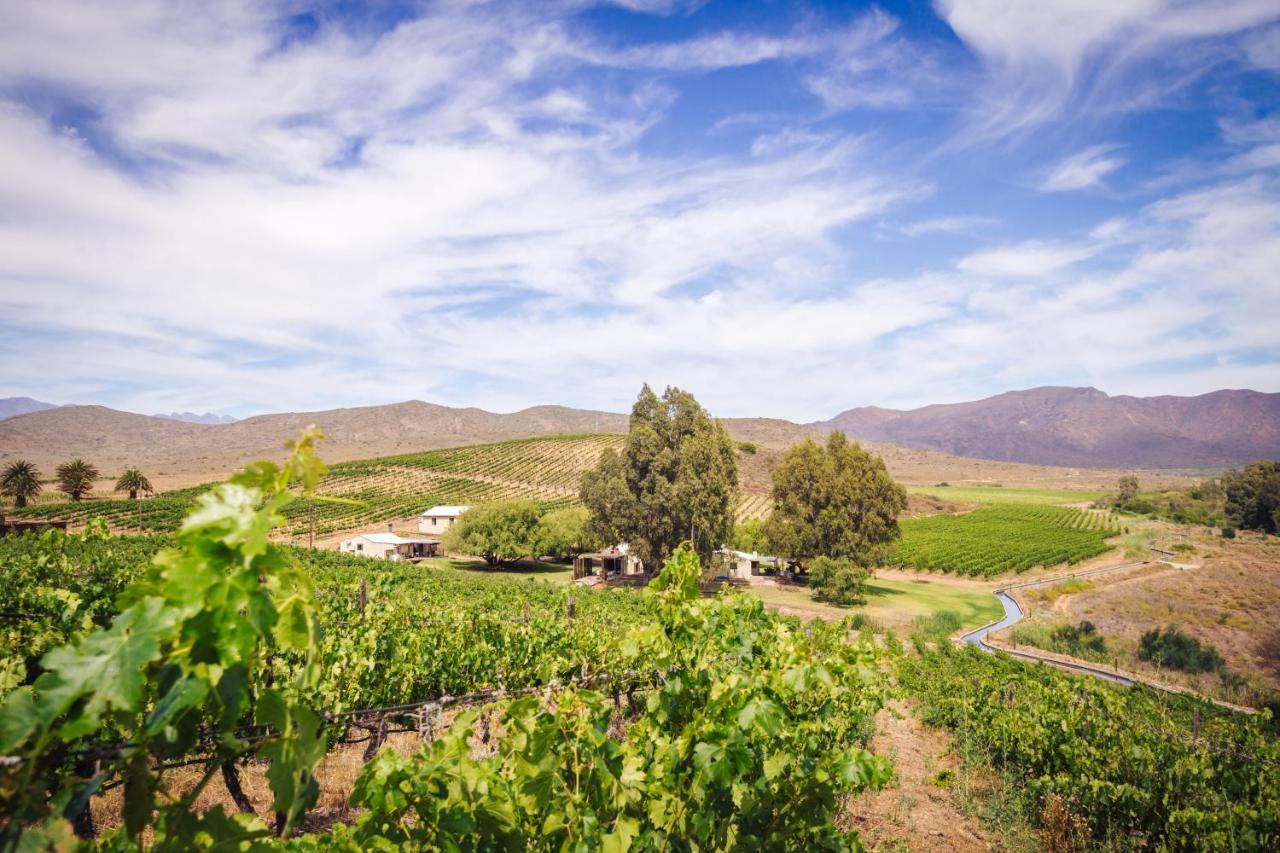 Arendsig Wine Estate & Cottages Bonnievale Exterior foto